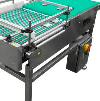 皮帶輸送流水線2.jpg 皮帶輸送流水線2.jpg